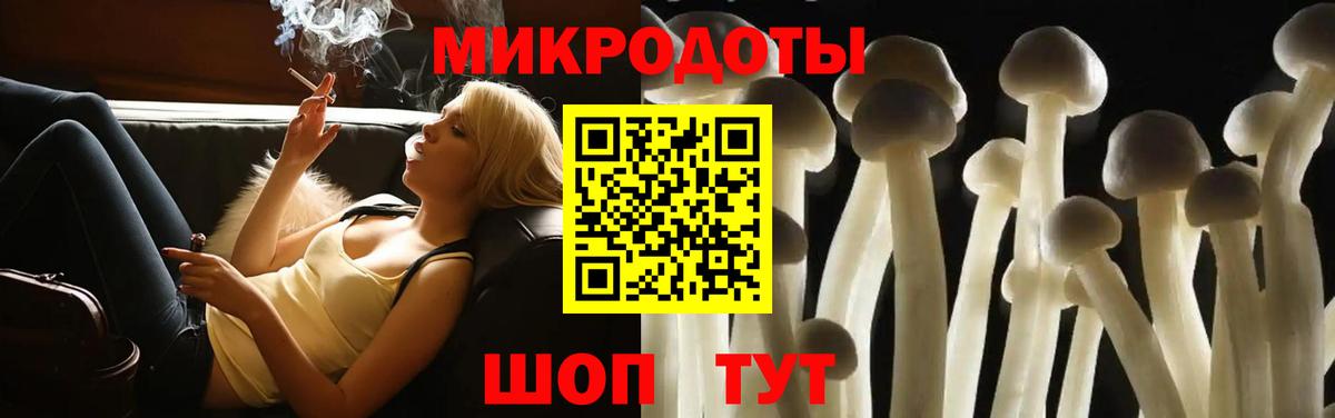 Псилоцибиновые грибы прущие грибы Белово